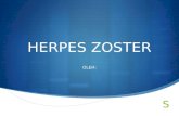 Herpes Zooster Ppt Final
