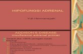 Hipofungsi Adrenal