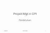 2. Introduction Project Mgt in CPI Pablo R1