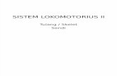 Sistem Lokomotorius 2