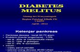 DiabetesMelitus UKDW 2014