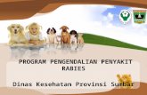 Program Pengendalian Rabies