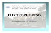 PT 11 Elektroforesis Aphp 2 (1)