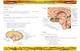 DS Anatomy Dan Histology EMS