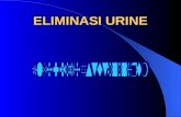 eliminasi 3 urin