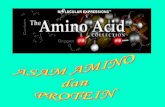 1. Asam Amino-2