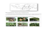 Persebaran Flora Di Indonesia.docx