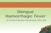 Dr.nana-DD & Dengue Hamorrhagic Fever 2015(1)