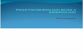 Presentasi Praktikum Biologi Blok 4 Per 2013