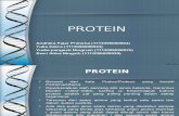 Protein Biokim
