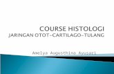 Course Histologi Otot Dk