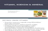 Vitamin Koenzim & Mineral (8)
