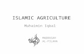 Islamic Agricultures