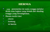 Hernia Power Point Ppt