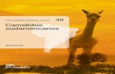 Camelidos Sudamericanos- Vila