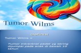 Pp Wilms Tumor