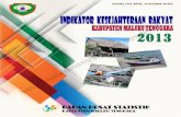 Indikator Kesejahteraan Rakyat Kabupaten Maluku Tenggara Tahun 2013