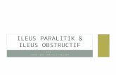 7. CSS Ileus Obstruktif & Ileus Paralitik Tambahan