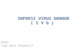 Infeksi Virus Dengue by yugi