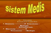 Sistem Medis