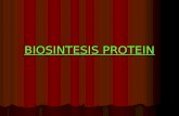 10. Sintesis Protein