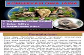 Konservasi Owa Jawa
