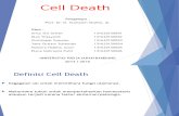 Cell Death FINAL