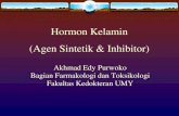 Obat Hormon Kelamin.pdf