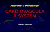 Anatomy and Physiology of the Heart (Rev)
