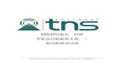 Manual Tesoreria para TNS