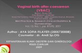 Presentasi Vaginal Birth After Caesarean (VBAC)