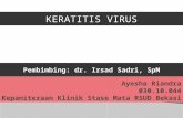 ppt keratitis virus
