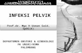 IT 7_US Infeksi Pelvik