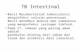 TB Intestinalbffhdfh