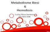 Hemolisis Dan Metabolisme Fe