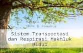 Sistem Transportasi Dan Respirasi Makhluk Hidup