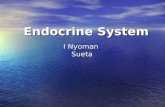 Endocrine Sytem