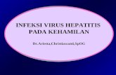 Infeksi Hepatitis b Dalam Kehamilan
