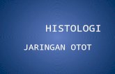 Histologi Jar.Otot