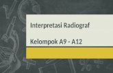 Interpretasi Radiograf
