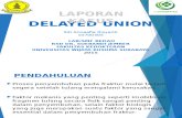 PPT Delayed Union