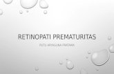 Retinopati Prematuritas