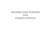 Metabolisme Porfirin Dan Pigmen Empedu