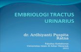 Dr.ardhi-embriologi Tractus Urinarius