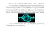 Patofisiologi Hipertensi Pada Lansia