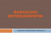 Kuliah enterohepatik radiologi