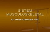 Sistem Musculoskeletal Reguler