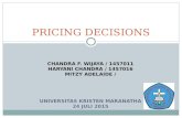 Presentasi Stratview Pricing Decision
