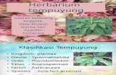 Ppt Herbarium