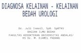 diagnostik bedah urologi